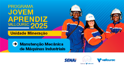 Manutenção 